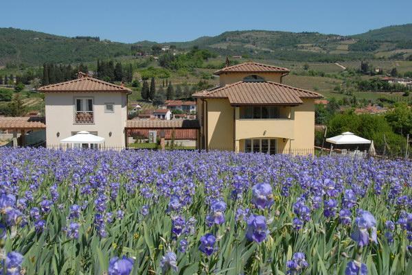 Casa Rosa Villa Greve in Chianti Dış mekan fotoğraf